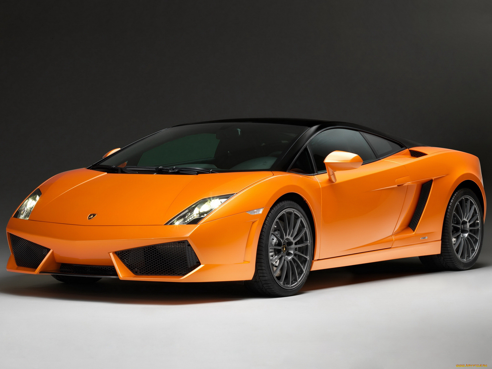 , lamborghini, gallardo, bicolore